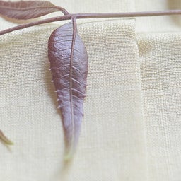 Textiles at Upasana